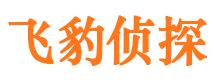 沈阳市私家侦探